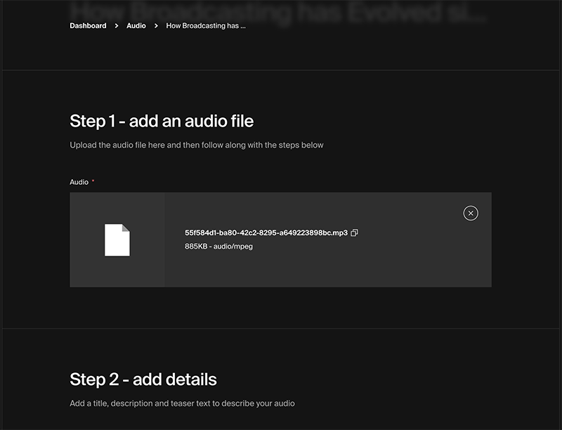 audio edit screen two